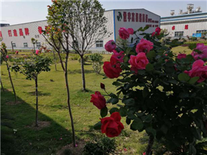 圖片8.png 圖片8.png