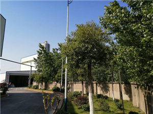 圖片10.png 圖片10.png