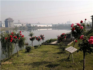 圖片12.png 圖片12.png